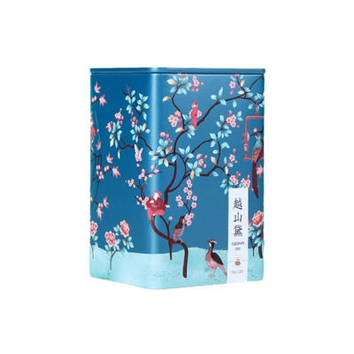 Ķīniešu stila tējas kārba Mitrumizturīgs dzelzs trauks Vintage virtuves uzglabāšanas kaste Cukura turētāja kannas Cepumu burka