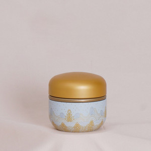 Universāls aizzīmogots mazs metāla tējas Caddy Mini pārnēsājamas ceļojumu apaļas kannas iepakojuma kaste dzelzs uzglabāšanas burka