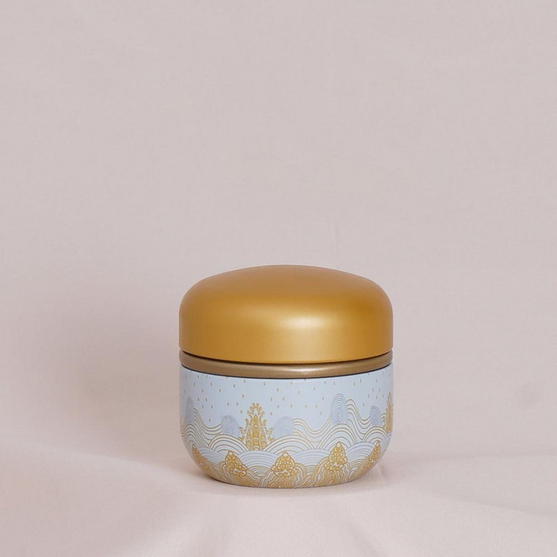 Universāls aizzīmogots mazs metāla tējas Caddy Mini pārnēsājamas ceļojumu apaļas kannas iepakojuma kaste dzelzs uzglabāšanas burka