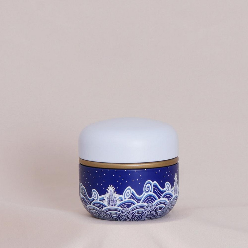 Universāls aizzīmogots mazs metāla tējas Caddy Mini pārnēsājamas ceļojumu apaļas kannas iepakojuma kaste dzelzs uzglabāšanas burka