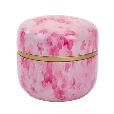 Dzelzs mini skārda uzglabāšanas kaste kafijas tēja Caddy burciņa noslēgta tējas lapu iepakojuma kaste Ķīniešu stila konteineru kārbas mājas biroja dekorēšanai