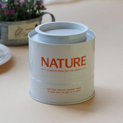 INS Style Cilindra tējas kannas Tēja Caddy Dzelzs noslēgta burka Tējas trauks Mitrumizturīgs Mini Tea Caddy Universālas pārtikas uzglabāšanas burkas