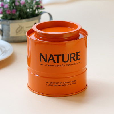 INS Style Cilindra tējas kannas Tēja Caddy Dzelzs noslēgta burka Tējas trauks Mitrumizturīgs Mini Tea Caddy Universālas pārtikas uzglabāšanas burkas