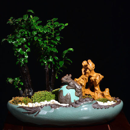 JIA-GUI LUO Purpura māla gliemeži Bruņurupucis Cikāde Drosmīgie Karaspēki Tējas Komplekts Tēja Mājdzīvnieku rotājumi Tējas ceremonija Gliemeži N014