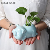 Radošums Keramika Tēja Mājdzīvnieks Jauka cūciņa statuja Puķu pods Galddators Hidroponiski augi Rotājumi Ar rokām gatavoti tējas servīzes Dekorācijas Amatniecība