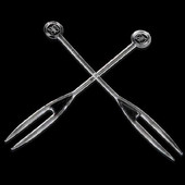 Virtuves bārs Vienreizlietojamie virtuves piederumi Galda piederumi Dakšas Bezkrāsaina Caurspīdīga plastmasa OK Augļu dakšu adata 700gab / partija