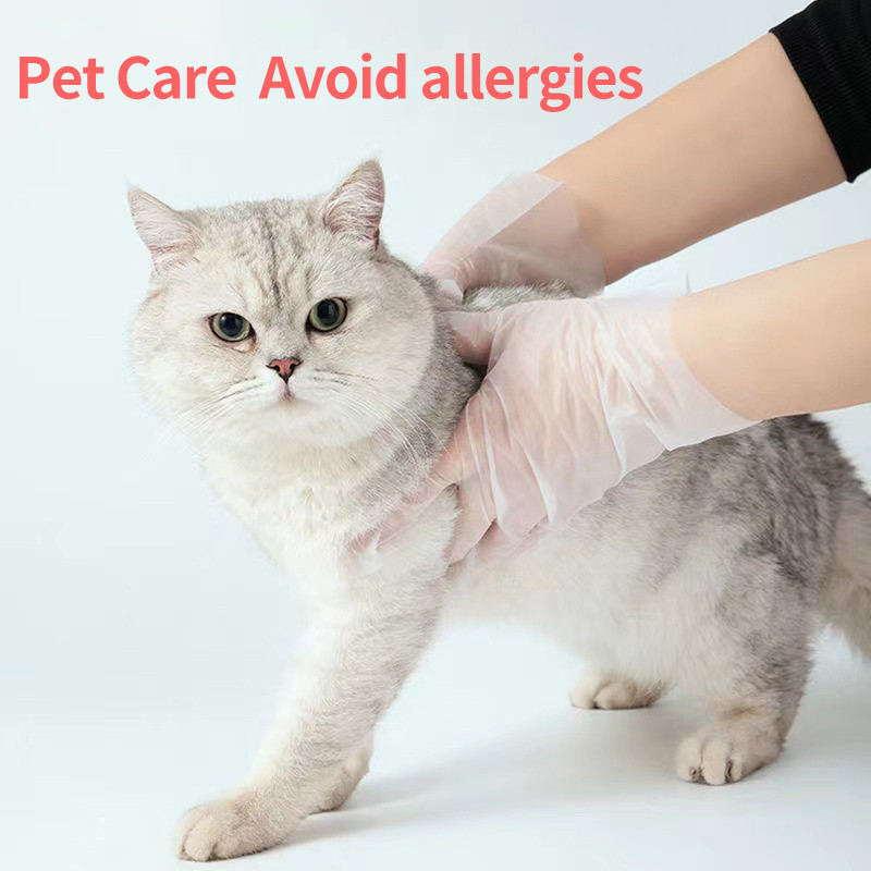 Darbs Caurspīdīgs 100gab Pārtikas Mājsaimniecības pakāpe Bezmaksas Drošības Vienreizlietojamie cimdi Neslīdoši Skābie Cimdi Cimdi Tīrīšana Latekss