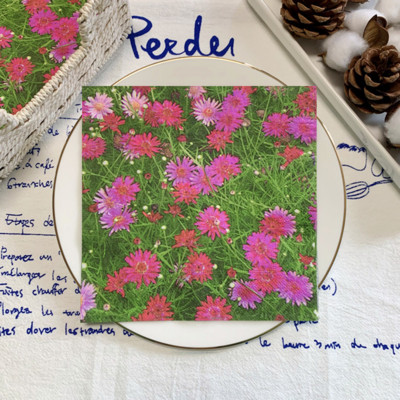 20 vnt./maišelis Daisy Gėlės Dekupažinės popierinės servetėlės Elegantiškos gėlėtos popierinės servetėlės vakarėlio stalo reikmenims Vestuvių Kalėdų reikmenys