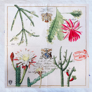 20 τεμ/τσάντα Vintage λουλούδι κάκτου Decoupage Χαρτοπετσέτες Cacti Flos Paper Tissue για πάρτι Επιτραπέζια χριστουγεννιάτικα είδη γάμου