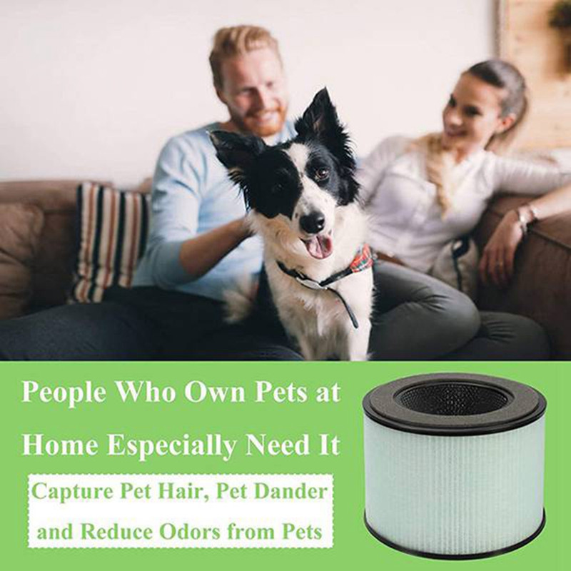 Labākie piedāvājumi rezerves HEPA filtrs PARTU BS-08,3-In-1 filtru sistēmai ietver priekšfiltru, īsto HEPA filtru, aktīvās ogles filtru