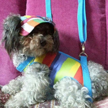 Καπέλο μπέιζμπολ για σκύλους μόδας κατοικίδιων ζώων Καπέλο μπέιζμπολ με τρύπες για τα αυτιά Αντιανεμικά αθλητικά ταξιδιωτικά καπέλα ηλίου από καμβά για αντηλιακά αξεσουάρ εξωτερικού χώρου για κουτάβια