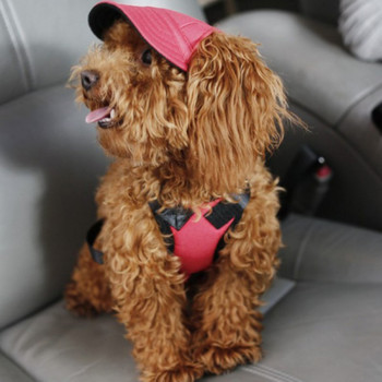 Καπέλο μπέιζμπολ για σκύλους μόδας κατοικίδιων ζώων Καπέλο μπέιζμπολ με τρύπες για τα αυτιά Αντιανεμικά αθλητικά ταξιδιωτικά καπέλα ηλίου από καμβά για αντηλιακά αξεσουάρ εξωτερικού χώρου για κουτάβια