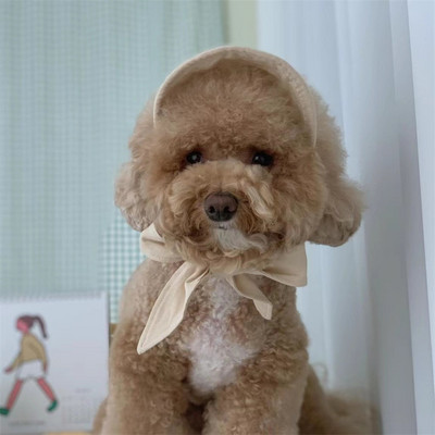 Ins Cat mājdzīvnieku suņa cepure Mazs suns Teddy Bear sauļošanās sauļošanās cepure Pastorālā stila dekorēšana foto suņa kostīma cepure kaķa suņa dzimšanas dienai