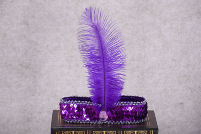 Karnevāls Indijas strausa galvenā cepure Matu aksesuāri Dzimšanas dienas svinības Galvassegas Sequins Dimanta spalvas Apģērbs vīriešiem un sievietēm