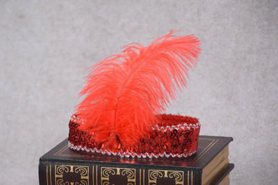 Karnevāls Indijas strausa galvenā cepure Matu aksesuāri Dzimšanas dienas svinības Galvassegas Sequins Dimanta spalvas Apģērbs vīriešiem un sievietēm