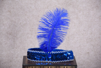 Karnevāls Indijas strausa galvenā cepure Matu aksesuāri Dzimšanas dienas svinības Galvassegas Sequins Dimanta spalvas Apģērbs vīriešiem un sievietēm