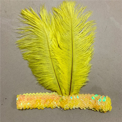 Karnevāls Indijas strausa galvenā cepure Matu aksesuāri Dzimšanas dienas svinības Galvassegas Sequins Dimanta spalvas Apģērbs vīriešiem un sievietēm