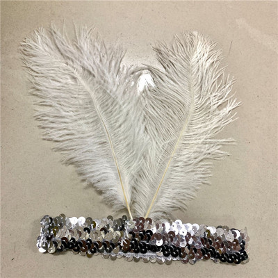 Karnevāls Indijas strausa galvenā cepure Matu aksesuāri Dzimšanas dienas svinības Galvassegas Sequins Dimanta spalvas Apģērbs vīriešiem un sievietēm