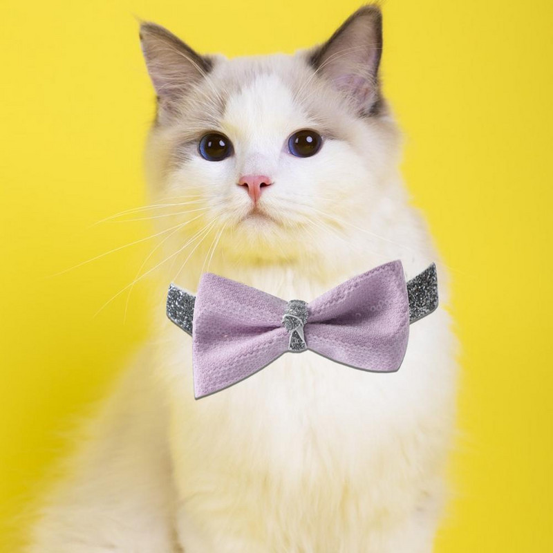 Kiváló kisállat csokornyakkendő vízálló macska csokorcsomós nyakörv, hosszan tartó, könnyen viselhető, csillogó flitterekkel Stílusú kisállat kutya macska nyakörv dekoráció
