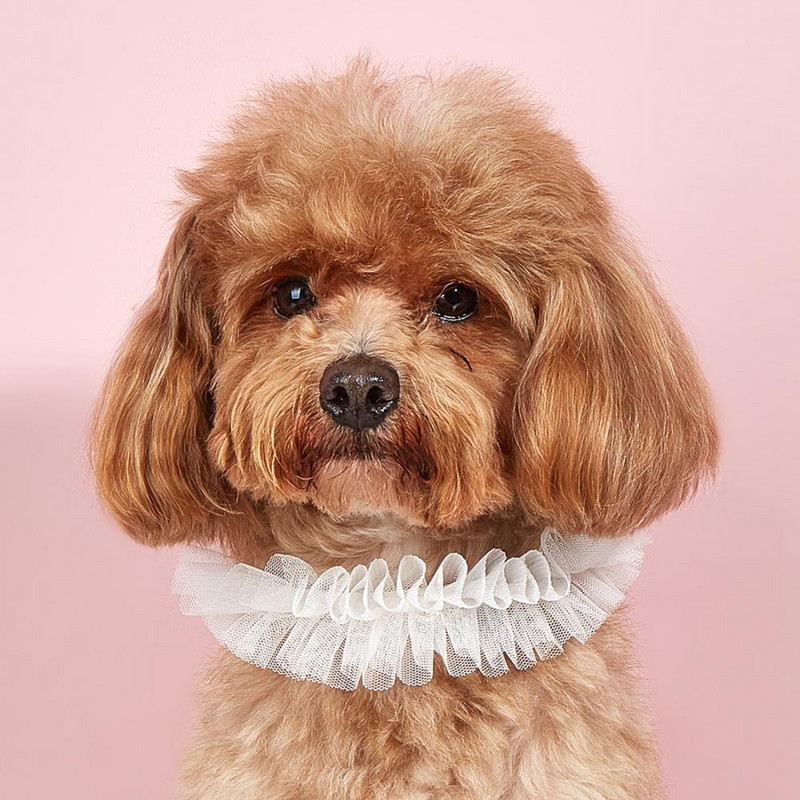 Salda mežģīņu mājdzīvnieku apkakle, mākslīgās pērles regulējama kucēnu kaklarota etniskā izšuvumi, volānveida kaķu apkakles, elpojošs mājdzīvnieku kopšanas rīks