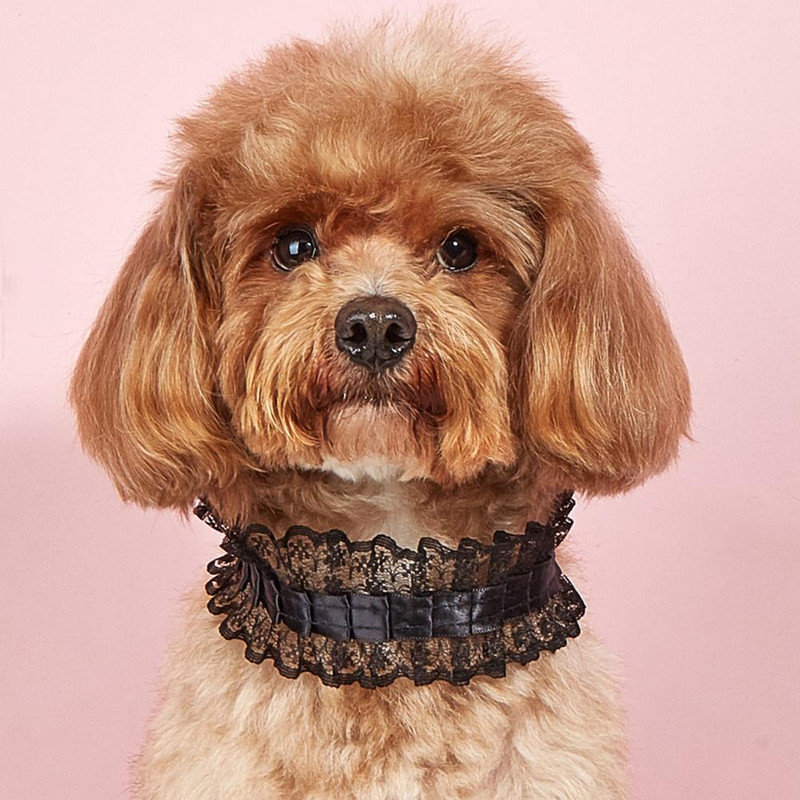 Salda mežģīņu mājdzīvnieku apkakle, mākslīgās pērles regulējama kucēnu kaklarota etniskā izšuvumi, volānveida kaķu apkakles, elpojošs mājdzīvnieku kopšanas rīks