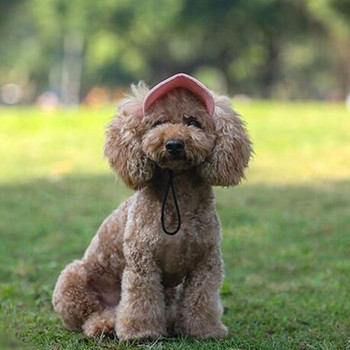 Καπέλο μπέιζμπολ για κουτάβι Ρυθμιζόμενο καπέλο μπέιζμπολ για σκύλους κατοικίδιων ζώων Καπέλο μπέιζμπολ για σκύλους Oxford με τρύπες για αυτιά Αθλητικά κατοικίδια για κατοικίδια
