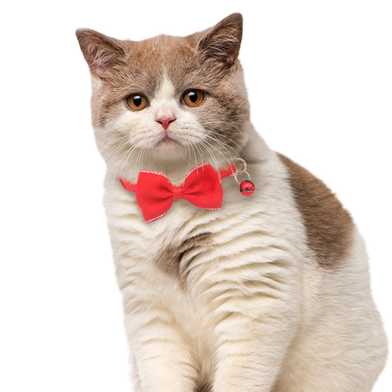 Kisállat nyakörvek Új kisállat csengőnyakörvek Aranyos macska nyakörvek Kisállatkellékek Többszínű Állítható Állatkötöző Szerszám Kisállat kiegészítők