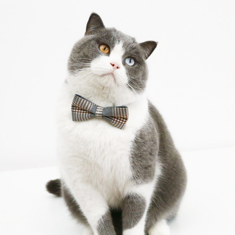 Kockás csokornyakkendő Háziállatok Macska nyakörvek Állítható kiskutya chihuahua nyaklánc biztonsági csat cica csokornyakkendő nyúl nyakkendő