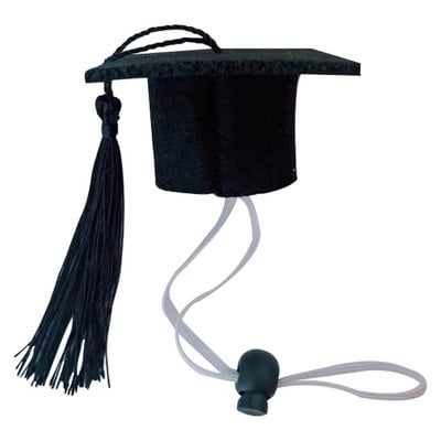 Small Pets Graduation Cap Small Dog Graduation Hats With Black Tassel Mini Animal Graduation Hat Mini Animal Graduation Hat With