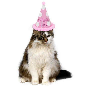 Χαριτωμένο κατοικίδιο σκυλί για γάτα Καπέλα γενεθλίων κουκκίδα με καπέλο για πάρτι κουκκίδα για κατοικίδια Διακοσμήσεις γιορτής αξεσουάρ