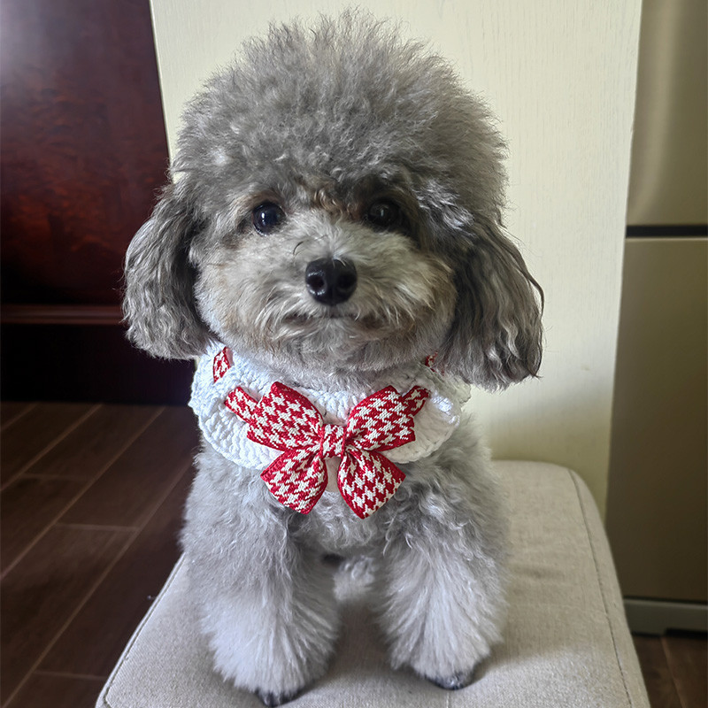 Pet Supoplie kaķa siekalu dvieļu bantīte Kittyt tērpi kaķu aksesuāri rudens ziemas suņa kakls Kaķenes kakla siksna Maza suņa kakla siksna