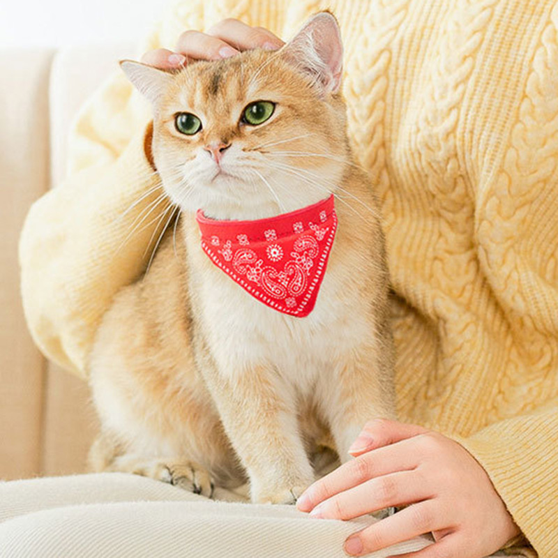 PU ādas Sfinksa kaķu bandana kaklasiksnas kaķiem Gotas Cute Pet Dog Triangle Šalle Kedi Katten Priekšautiņi talismani Kopšanas piederumi