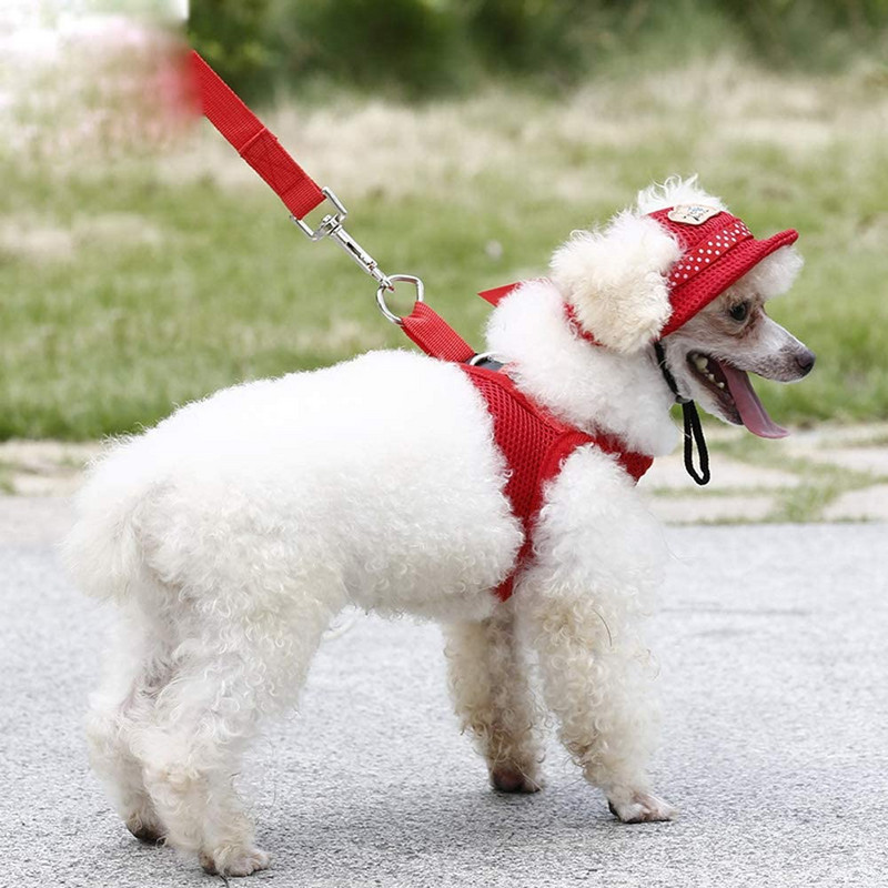 Kisállat sapkás kutyakalap füllyukakkal, kerek karimájú Princess sapka napellenzős sapka kisállat kutyahálós porózus sapka napvédelemhez szabadtéri túrázáshoz
