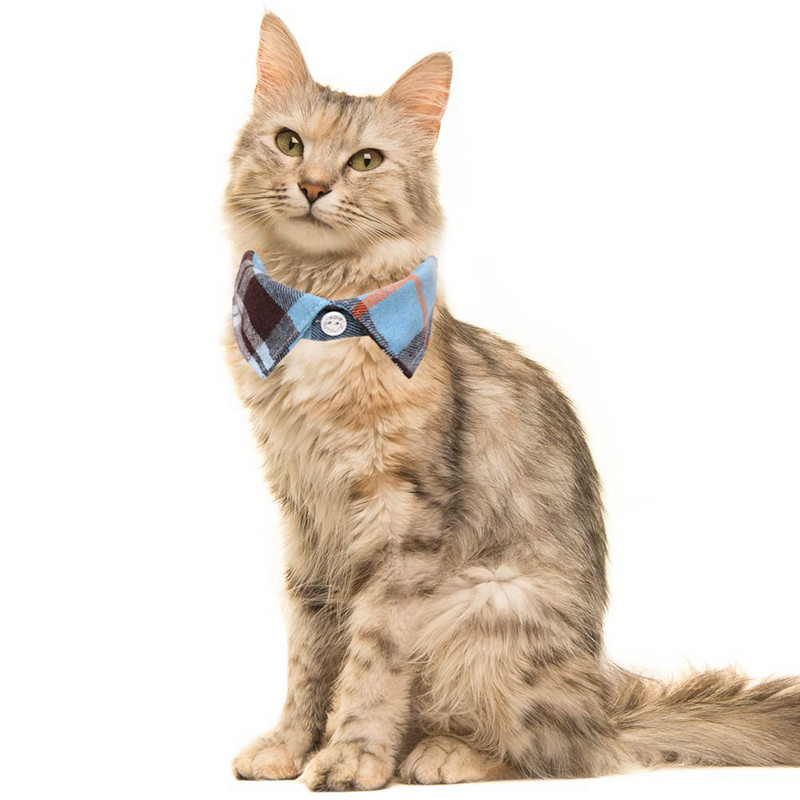 Macska szmoking gallér kockás állítható öltöny formális kölyök csokornyakkendő nyakörv kisfiúhoz háziállat esküvők születésnapi húsvéti fotózás