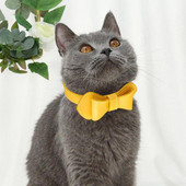 Kaķa kakla siksna ar regulējamu priekšgalu Mājdzīvnieki Kaķu suņu kaklasiksnas ar zvaniņu mājdzīvnieku rotājumiem Kaķu drošības sprādzes Regulējamas suņu kaklasiksnas
