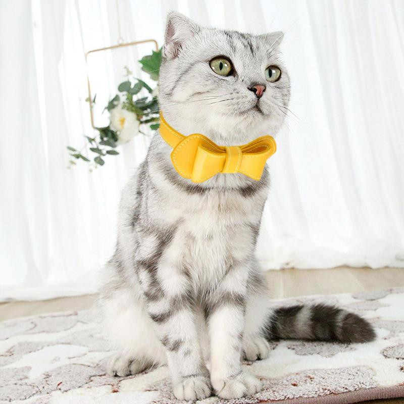 Kaķa kakla siksna ar regulējamu priekšgalu Mājdzīvnieki Kaķu suņu kaklasiksnas ar zvaniņu mājdzīvnieku rotājumiem Kaķu drošības sprādzes Regulējamas suņu kaklasiksnas