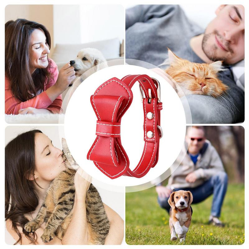 Kaķa kakla siksna ar regulējamu priekšgalu Mājdzīvnieki Kaķu suņu kaklasiksnas ar zvaniņu mājdzīvnieku rotājumiem Kaķu drošības sprādzes Regulējamas suņu kaklasiksnas