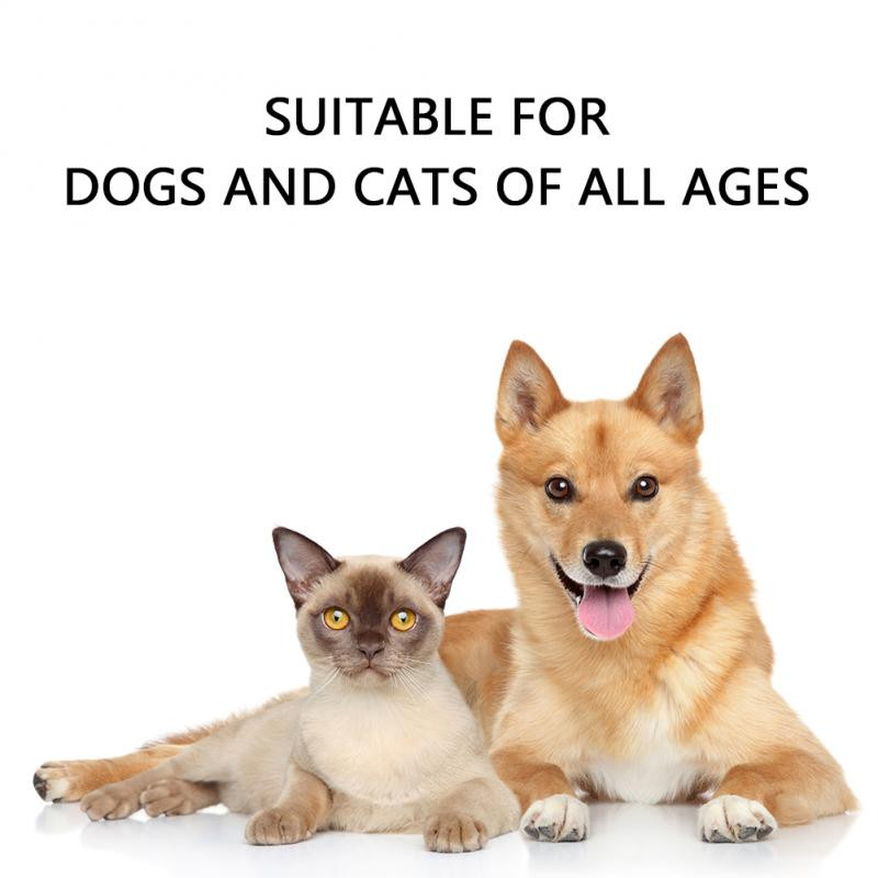 Kaķu kaklasiksnas Pretblusu ērču Kaķu kaklarota Regulējama Profilakse Utis Mājdzīvnieku Apkakles Noņemšana Ērce Kaķis Svins Kaķi Aksesuāri Mājdzīvnieku produkts