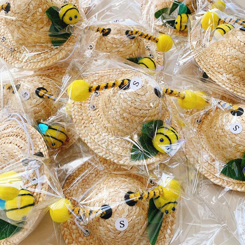 Χαριτωμένο καπέλο για κατοικίδια 2 μεγεθών Καπέλο για κουτάβι Αναπνεύσιμο Άνετο καπέλο για κατοικίδια εξωτερικού χώρου