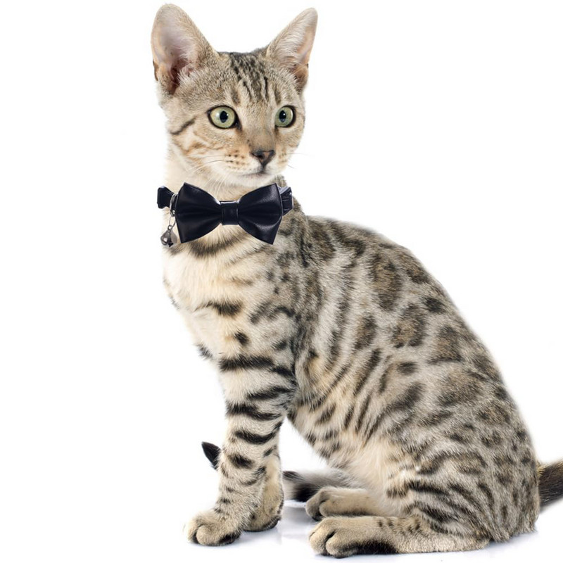 Kaķa kaklasiksna Breakaway ar jauku tauriņu un zvana PU ādu kaķēnu kaķēnu meitenei, regulējama drošības apkakle maziem mājdzīvniekiem