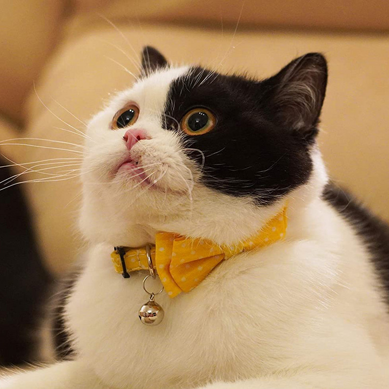 Kaķa kaklasiksna ar zvana kāzu regulējamām kakla siksnām ar tauriņu drošības atdalāmām kaķu kakla siksnām ziedu bantītes noņemams regulējams kucēns