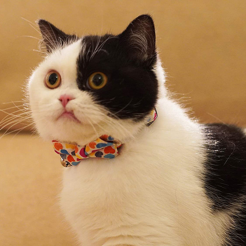 Kaķa kaklasiksna ar zvana kāzu regulējamām kakla siksnām ar tauriņu drošības atdalāmām kaķu kakla siksnām ziedu bantītes noņemams regulējams kucēns