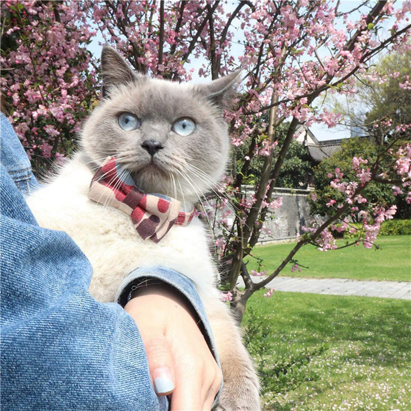 Maskēšanās kaķu kaklasiksna ar zvaniņu, ātri nolaižamu sprādzi un izturīgu kaķēnu kaķēnu kaklasiksnu, 6,8-10,8 collu