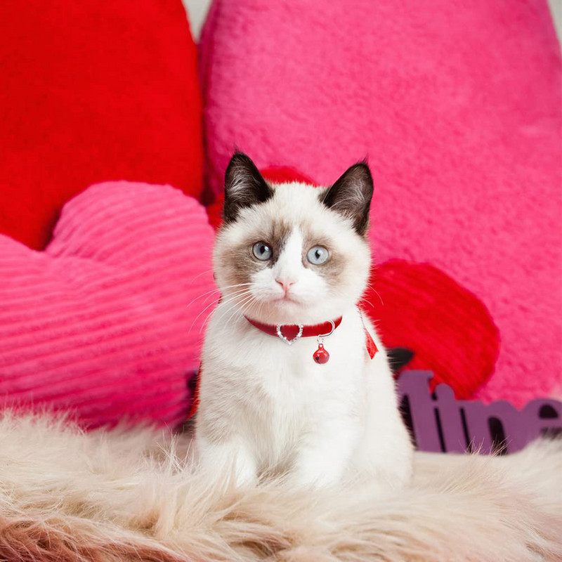 Valentīndienas kaķa kaklasiksna ar zvana rozā mīkstu, plūstošu audumu, regulējamu atdalāmu kaklasiksnu maziem vidēji lieliem kaķiem, suņiem, mājdzīvniekiem