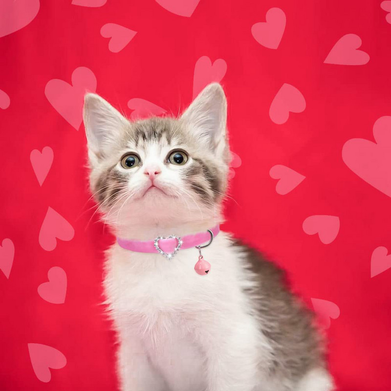 Valentīndienas kaķa kaklasiksna ar zvana rozā mīkstu, plūstošu audumu, regulējamu atdalāmu kaklasiksnu maziem vidēji lieliem kaķiem, suņiem, mājdzīvniekiem