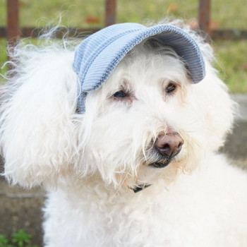 Καπέλα μπέιζμπολ για κατοικίδια Προσαρμογή πόρπης για καπέλο κατοικίδιων ζώων Σχεδιασμός χωρίς αυτιά Φωτογραφικά στηρίγματα για σκύλους κατοικίδιων ζώων Καπέλα ηλίου για σκύλους κατοικίδιων ζώων Καλοκαιρινά καπέλα εξωτερικού χώρου, αντιηλιακά