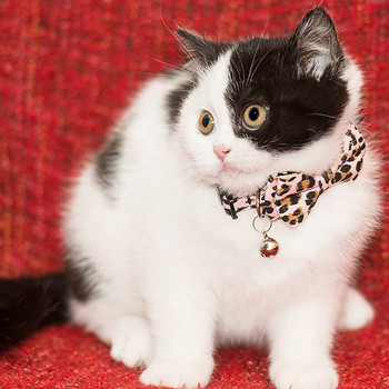Котешка яка с вратовръзка тип звънец Основни едноцветни котешки нашийници с катарама за бързо освобождаване Прост и класически модел