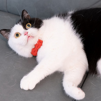 Ρυθμιζόμενο κολάρο γάτας με Bell Breakaway Kitten Small Puppy Safety Παπιγιόν Μασίφ Γάμος Βασικό Χρώμα Κρέμα & Ροζ & Ροζ Κόκκινο