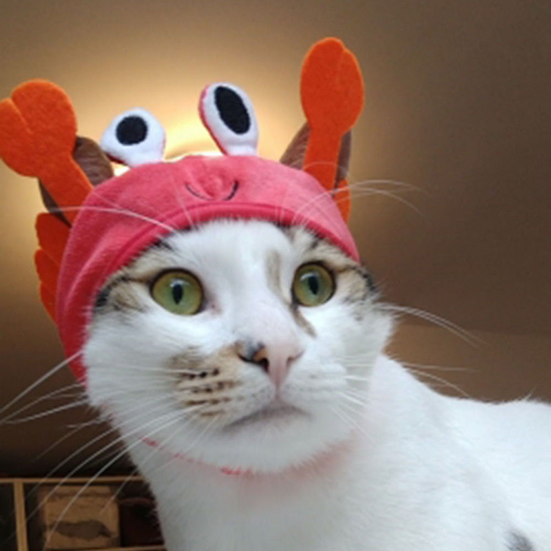 Jauka mājdzīvnieku cepure Maza suņa kaķa cepure Lieldienu zaķa cepure Krabis Omārs Vardes cepure Mājdzīvnieku ballītes aksesuāri Galvassegas kaķa kaķēnam mopsim