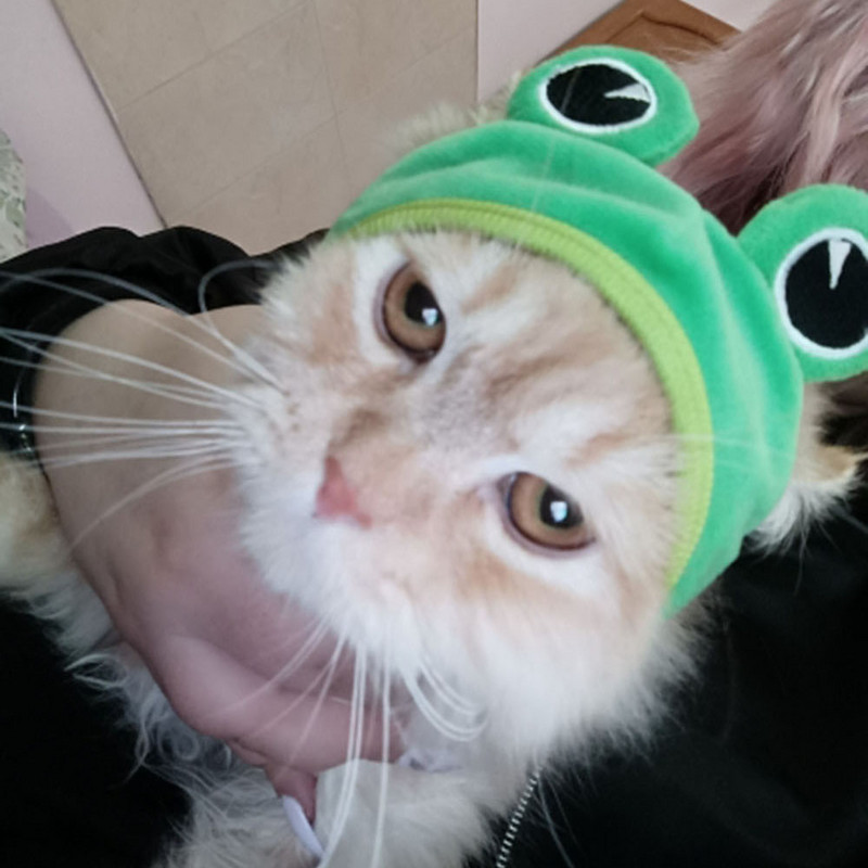 Jauka mājdzīvnieku cepure Maza suņa kaķa cepure Lieldienu zaķa cepure Krabis Omārs Vardes cepure Mājdzīvnieku ballītes aksesuāri Galvassegas kaķa kaķēnam mopsim